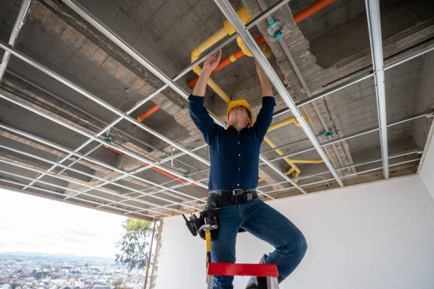 Best Plumbing Inspection Services  in Bridgetown, MS